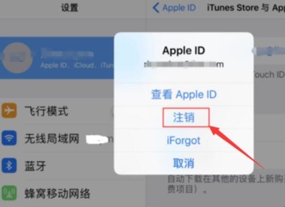 ipad怎么强制清除ID