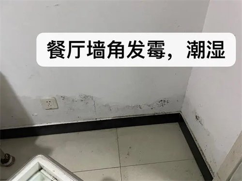 二手房多久漏水不承担？二手房发现漏水房主未告知算违约么