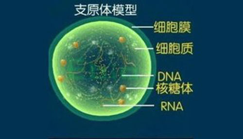 支原体肺炎传染吗 支原体肺炎症状