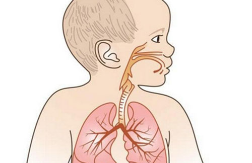 小儿支气管肺炎怎么办 支气管肺炎的饮食