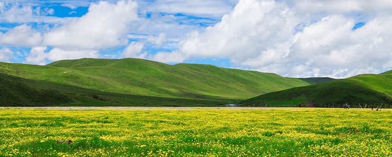 若尔盖旅游攻略 若尔盖最佳旅游季节