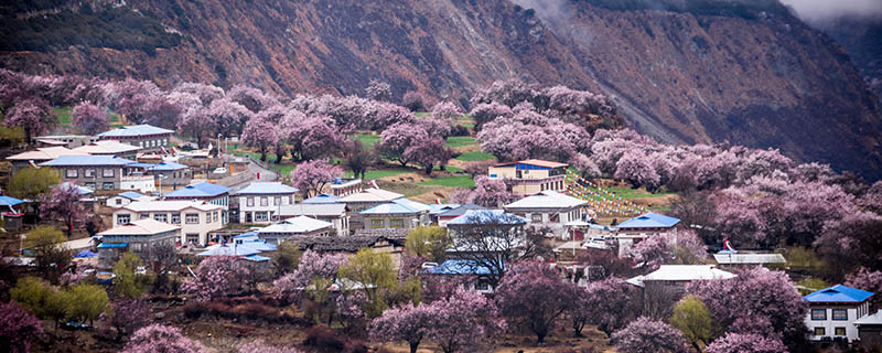 林芝最佳旅行时间是什么时候 林芝适合什么时候去