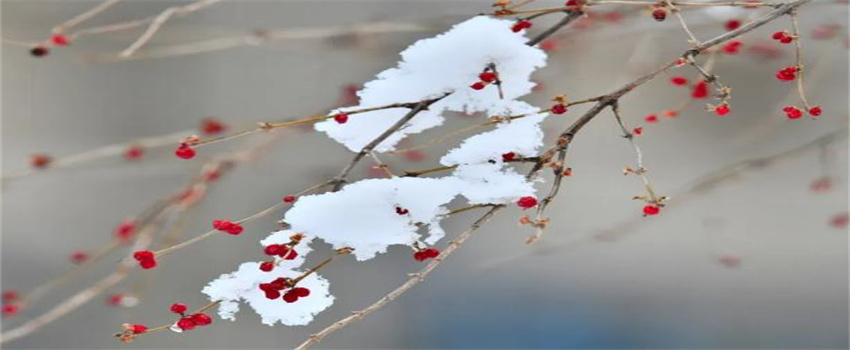 雪是怎么形成的