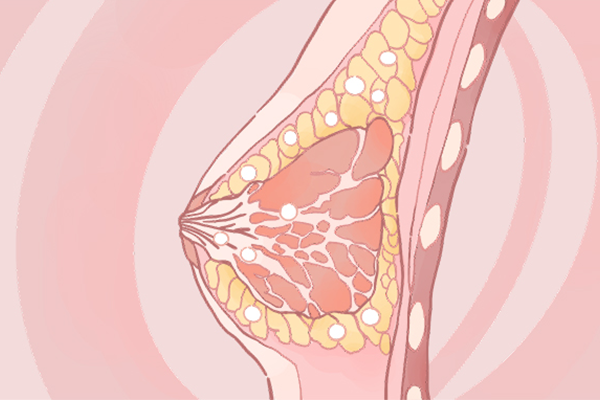 产后如何丰胸 产后丰胸的食物