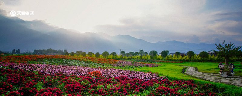 通化市春季赏花去哪里 通化市春天赏花的地方