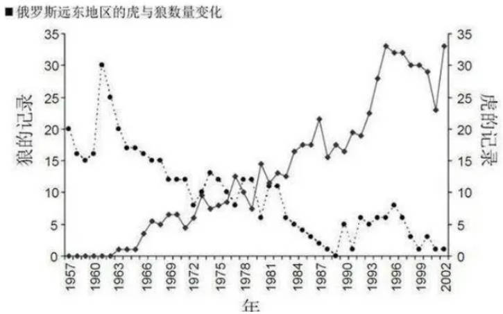 老虎栖息地附近为什么不会出现狼群 原因是什么